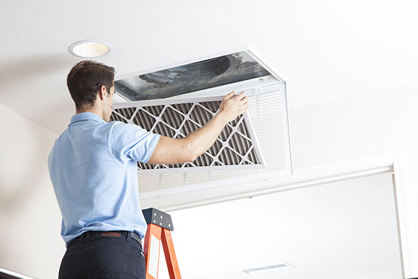 Air Filter Replacement Services